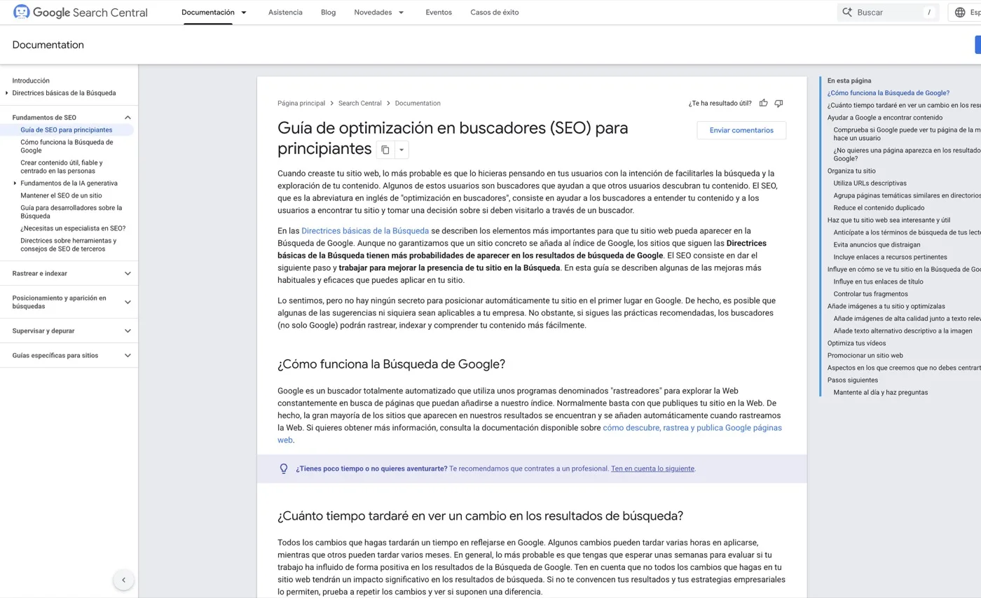 Google Search Central's public SEO starter guide, including when it makes sense to hire a professional.